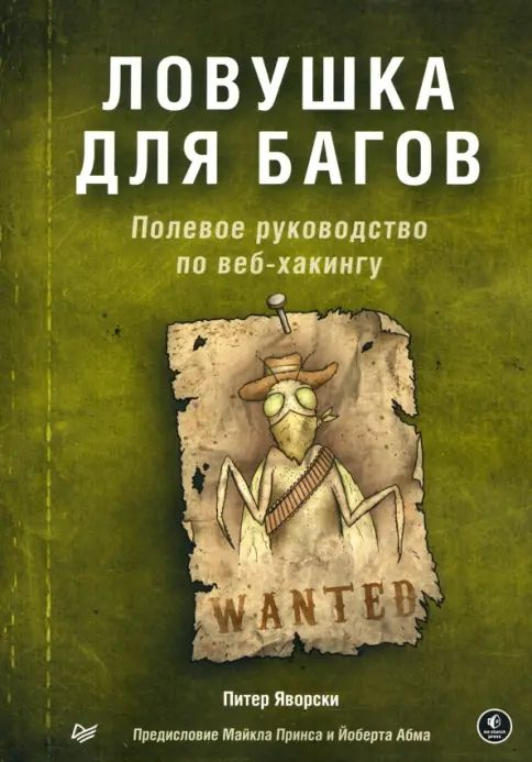 Real-World Bug Hunting